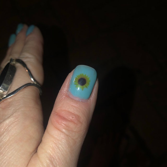 Raguso Getrocknete Blumen Für Nails – 12 Farben, Natürliche Blüten Für Nageldesign, DIY Maniküre