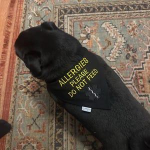 Ashton added a photo of their purchase