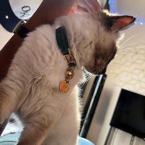 Samantha hat ein Foto des gekauften Artikels hinzugefügt