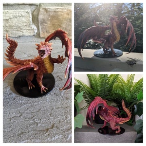 Amy added a photo of their purchase