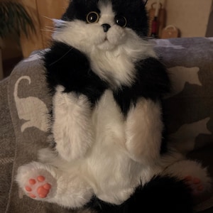 Heike added a photo of their purchase