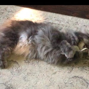 Nikki ha añadido una foto de su compra