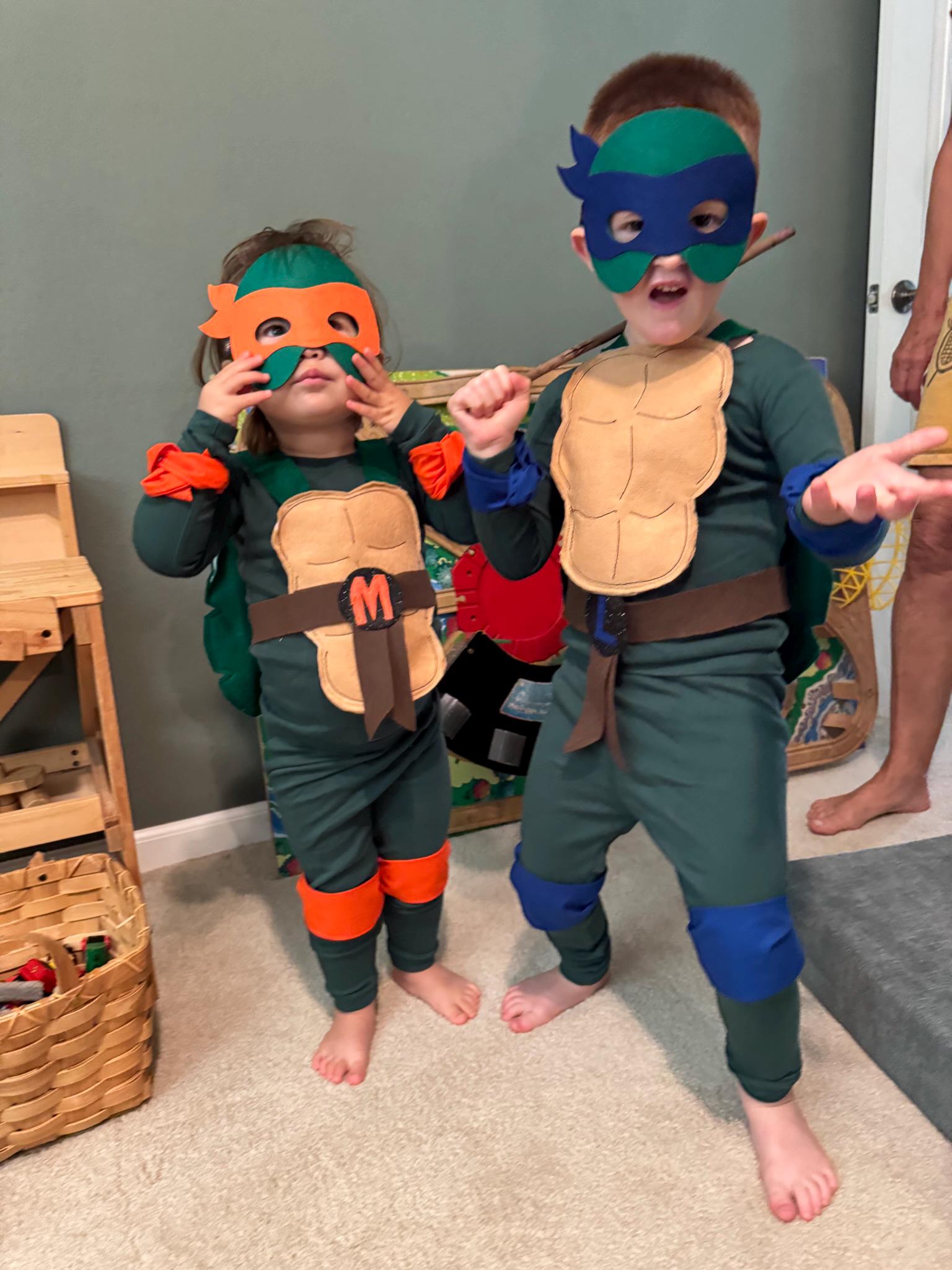 Inspired Ninja Turtle  Masks