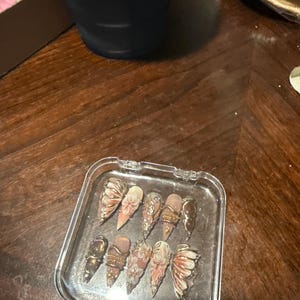 DonCuevas added a photo of their purchase
