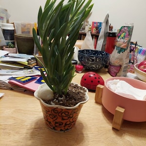 Susan added a photo of their purchase