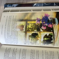 Fourth Wing Overlays - Etsy