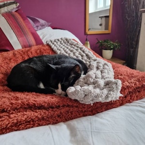 Lisa adicionaram uma foto da sua compra