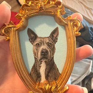 Madison added a photo of their purchase