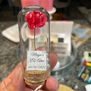 Beauty and the Beast Mini Glass Wedding Favors for Guests - Etsy