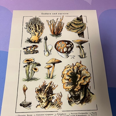 Cordyceps T-shirt the Last of Us Tee Joel and Ellie Endure and Survive