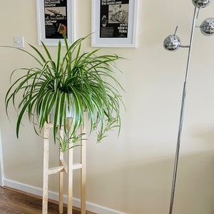 Daniel added a photo of their purchase
