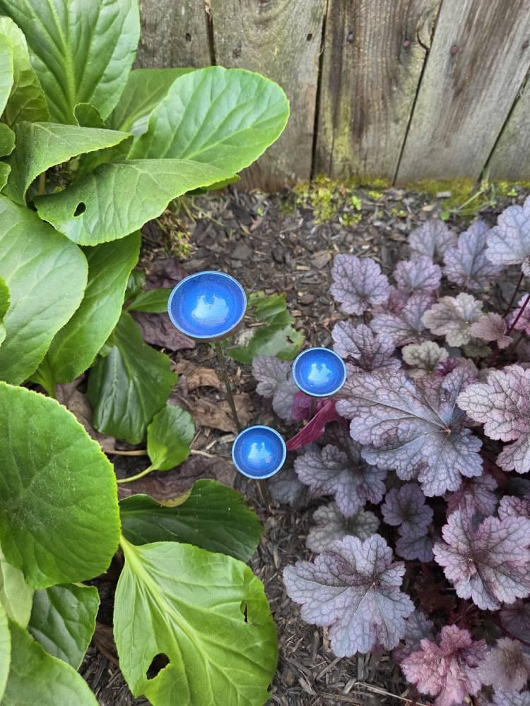 Bee Waterer, Bee Water stations, set of three cups Garden Sculpture