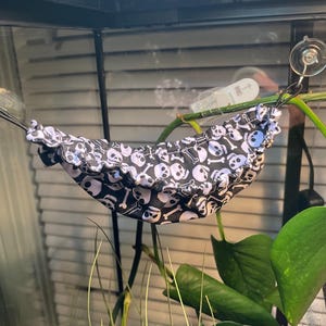 Amanda added a photo of their purchase