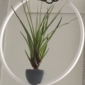 Susan added a photo of their purchase
