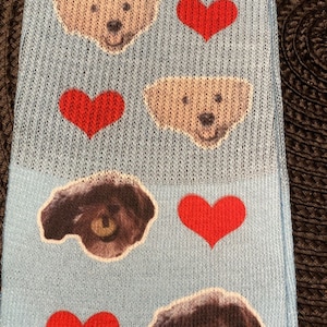 Maria added a photo of their purchase