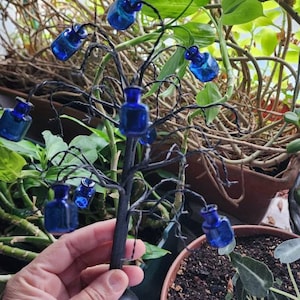 Gullah Geechee Blue Bottle Tree - Etsy