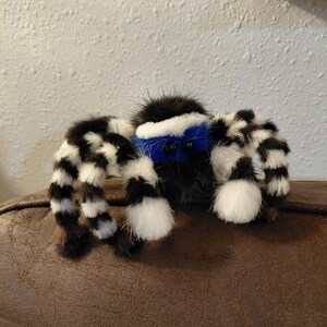 6インチ ハエトリグモ Maratus Personatus アートドール かわいいクモ