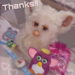 Kiwi added a photo of their purchase
