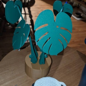 Elisa added a photo of their purchase
