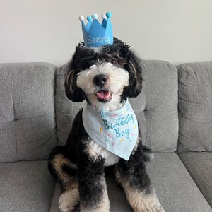 Stephanie ha añadido una foto de su compra