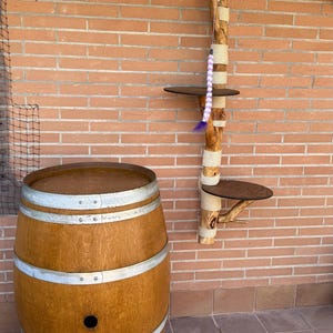 Manuel added a photo of their purchase