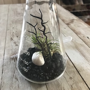 Etsy-koper heeft een foto van de aankoop toegevoegd