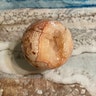 Reviewer's image