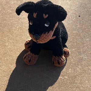 Kelly added a photo of their purchase