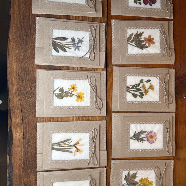 Handmade Pressed Flower Art Cards Set of 10 Favors for Guests - Etsy