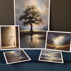 amy added a photo of their purchase