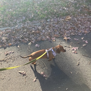 Alexandria added a photo of their purchase