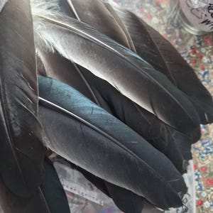 Sorren added a photo of their purchase