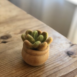 Michelle added a photo of their purchase