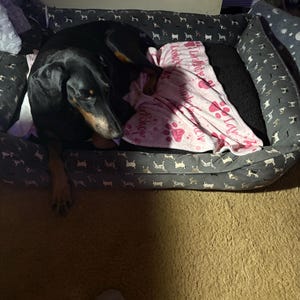 Heidi a ajouté une photo de son achat
