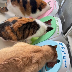 Sandra added a photo of their purchase