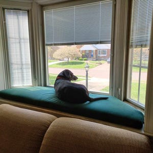 Pami added a photo of their purchase