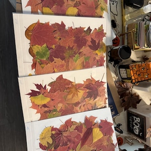 mary added a photo of their purchase