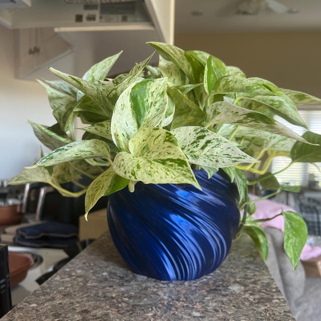 あらゆる種類の植物に適した大型ツイスト植木鉢（クリスタルダーク