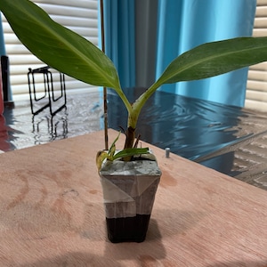 Moushmi added a photo of their purchase