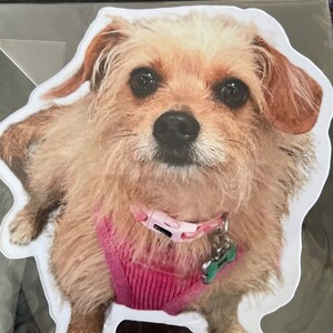 Etsy buyer added a photo of their purchase