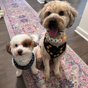 Brianna heeft een foto van zijn/haar aankoop toegevoegd