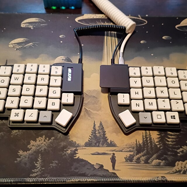 Lily58 MX（トラックパッド付き分割キーボード） - Etsy 日本