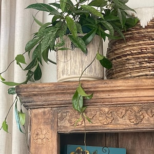 Angela added a photo of their purchase