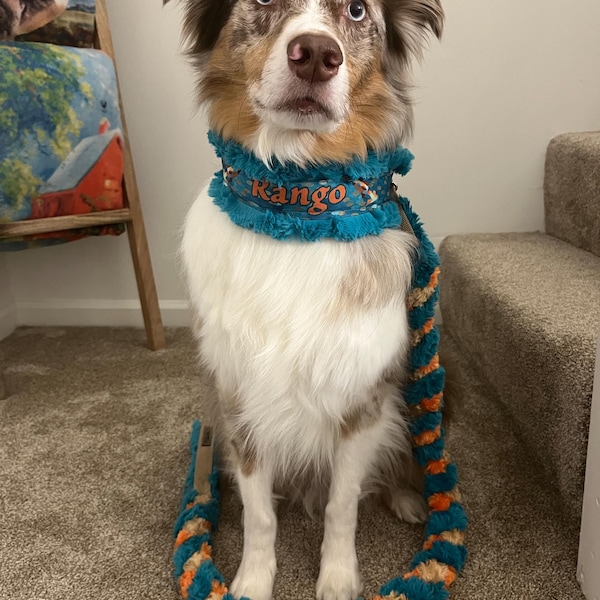 Custom Ribbon Display, Dog Award Ribbon Display Rack, Dog Rosette ...