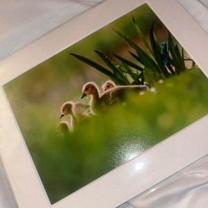 Ellie added a photo of their purchase