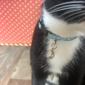 Renae ha añadido una foto de su compra