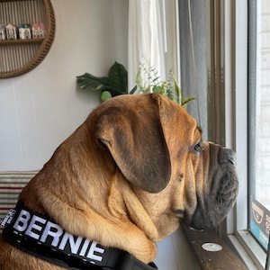 Charlie added a photo of their purchase