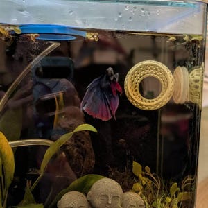 Sarah hat ein Foto des gekauften Artikels hinzugefügt