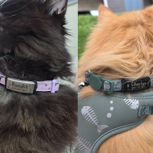Riley added a photo of their purchase