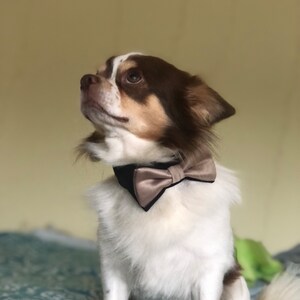 Comprador de Etsy ha añadido una foto de su compra